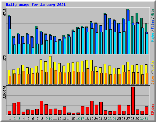 Daily usage for January 2021