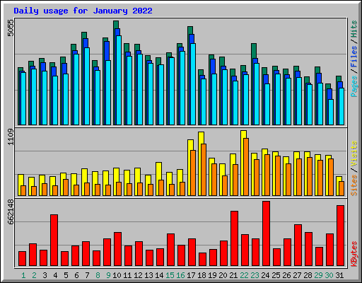 Daily usage for January 2022