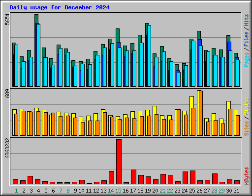Daily usage for December 2024