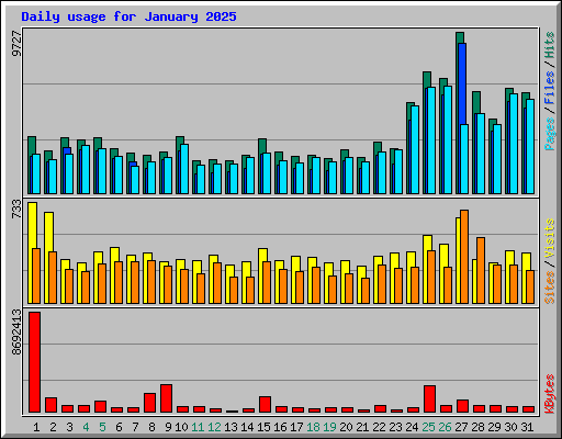 Daily usage for January 2025