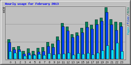 Hourly usage for February 2013