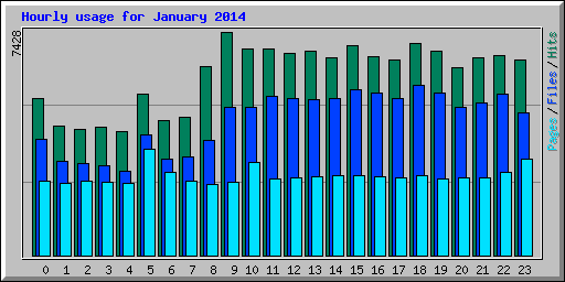 Hourly usage for January 2014