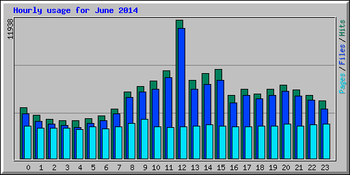 Hourly usage for June 2014