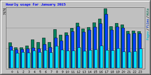 Hourly usage for January 2015