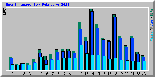 Hourly usage for February 2016