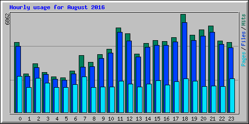 Hourly usage for August 2016