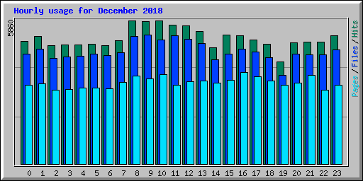 Hourly usage for December 2018