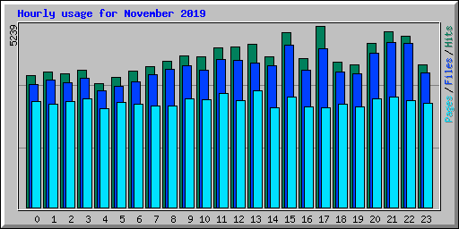Hourly usage for November 2019