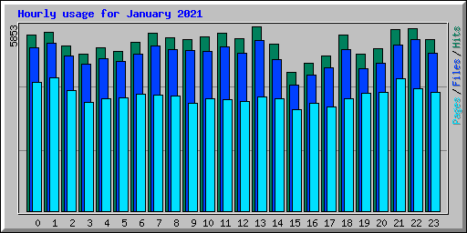 Hourly usage for January 2021