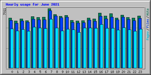 Hourly usage for June 2021