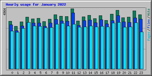 Hourly usage for January 2022