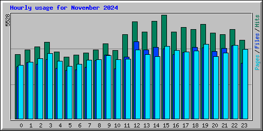 Hourly usage for November 2024