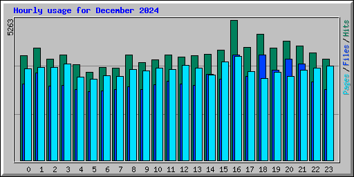 Hourly usage for December 2024
