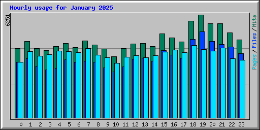 Hourly usage for January 2025