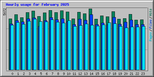 Hourly usage for February 2025