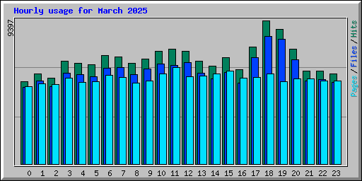 Hourly usage for March 2025