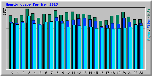 Hourly usage for May 2025