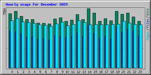 Hourly usage for December 2025