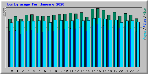 Hourly usage for January 2026