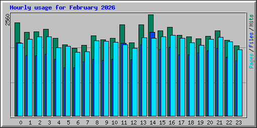 Hourly usage for February 2026