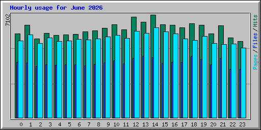 Hourly usage for June 2026
