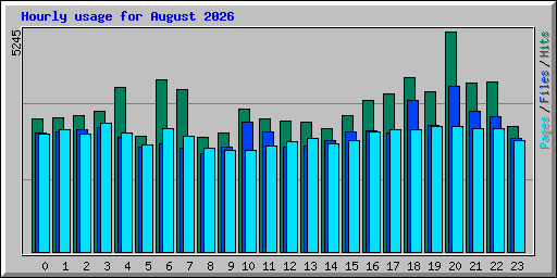 Hourly usage for August 2026